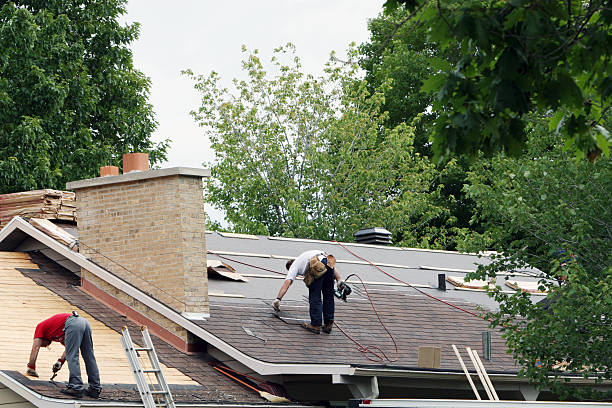 Best Roof Gutter Cleaning  in Garden View, PA